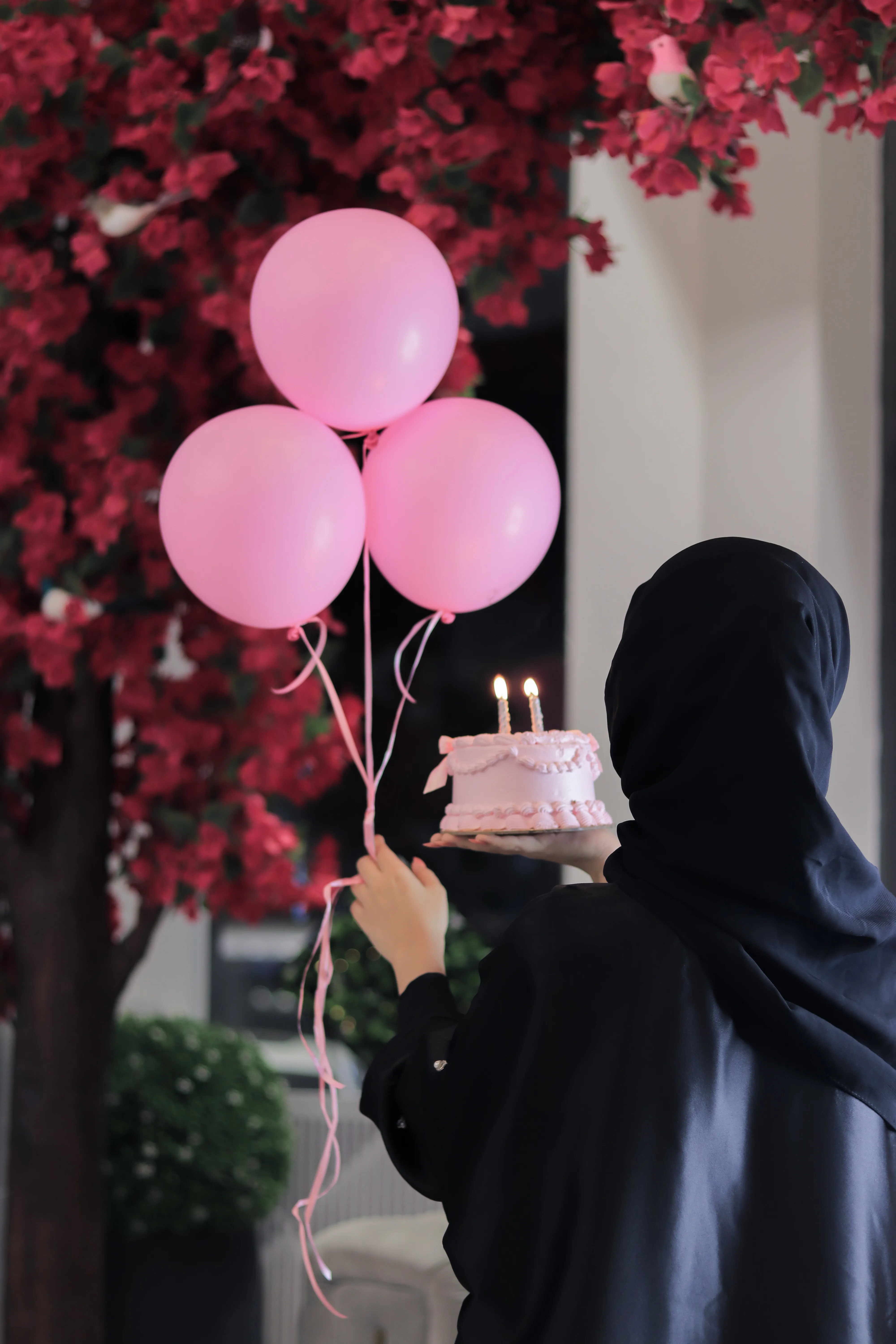 الأنشطة والفعاليات